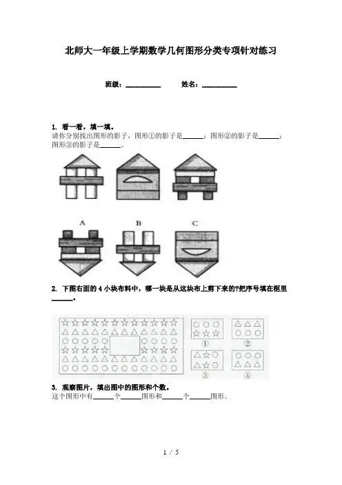北师大一年级上学期数学几何图形分类专项针对练习