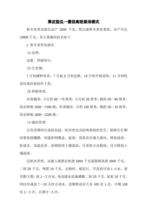 厚皮甜瓜—番茄高效栽培模式