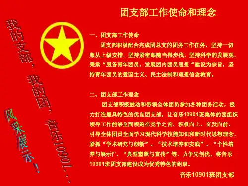 我的支部我的团风采展示