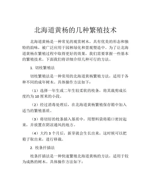 北海道黄杨的几种繁殖技术