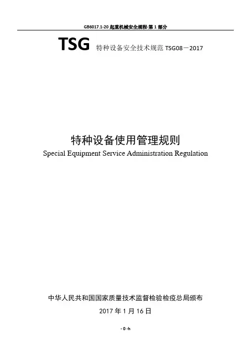 TSG特种设备安全技术规范TSG08-2017