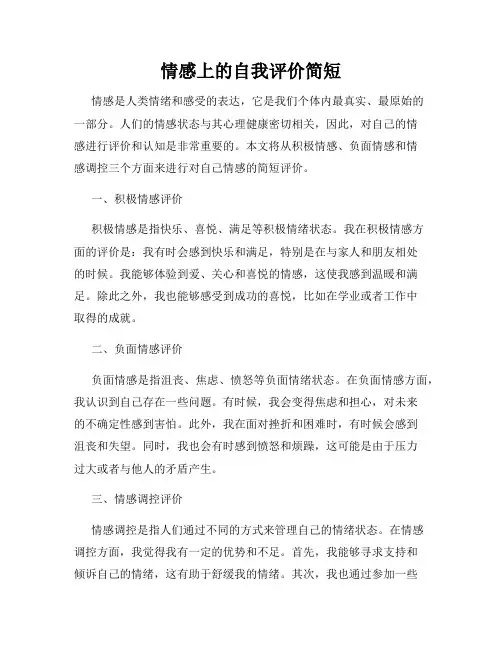 情感上的自我评价简短