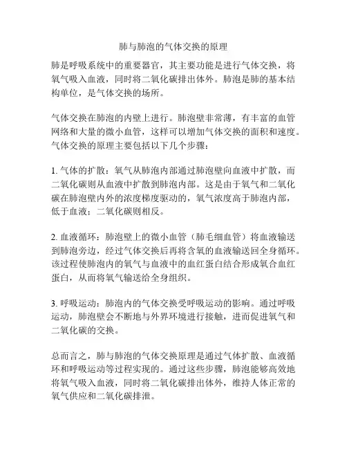 肺与肺泡的气体交换的原理