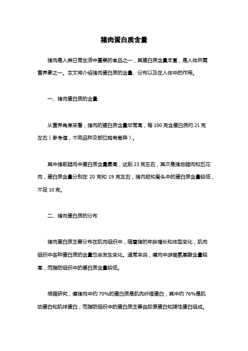 猪肉蛋白质含量