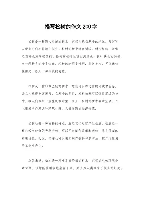 描写松树的作文200字