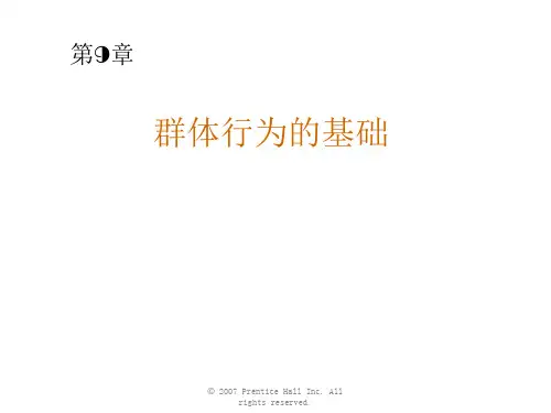 群体行为的基础《组织行为学》罗宾斯中文版