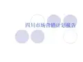 四川市场营销计划报告
