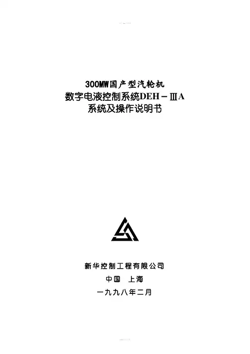 国产型300MWDEH3A操作说明书