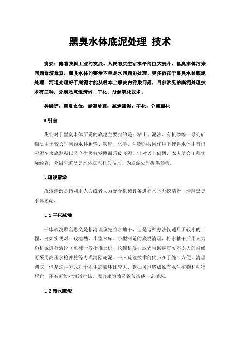 黑臭水体底泥处理技术