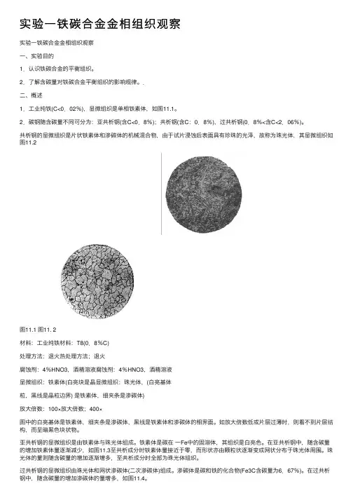 实验一铁碳合金金相组织观察