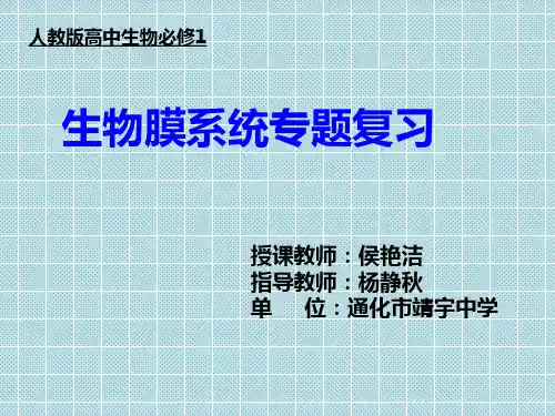 生物膜系统专题复习