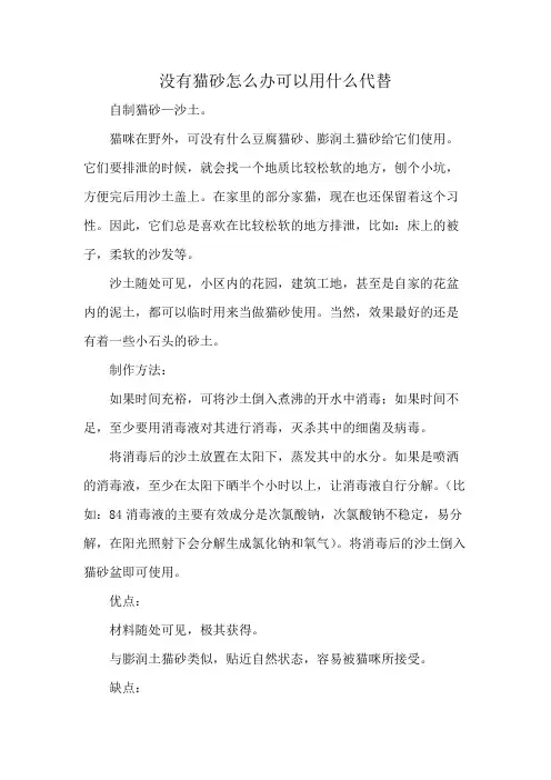 没有猫砂怎么办可以用什么代替