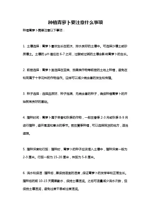 种植青萝卜要注意什么事项