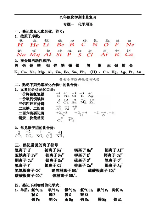 九年级第一学期化学用语专题复习