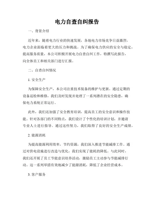 电力自查自纠报告