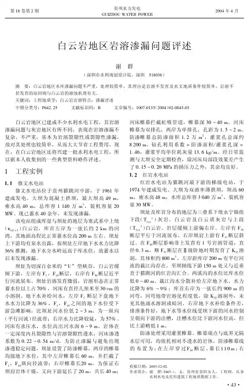 白云岩地区岩溶渗漏问题评述