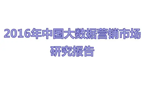 2016年中国大数据营销市场分析报告