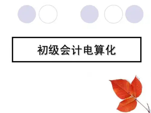2013四川会计从业考试电算化-第一章