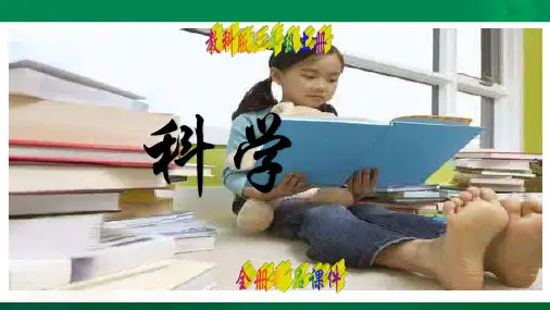 教科版小学三年级科学上册全册课件【全套】