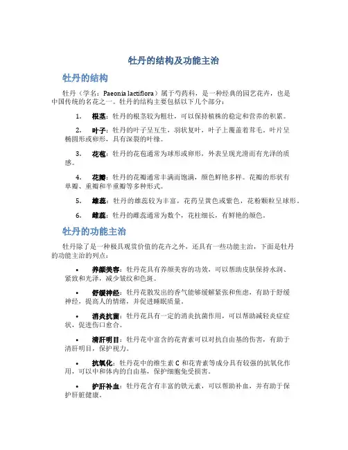 牡丹的结构及功能主治图片