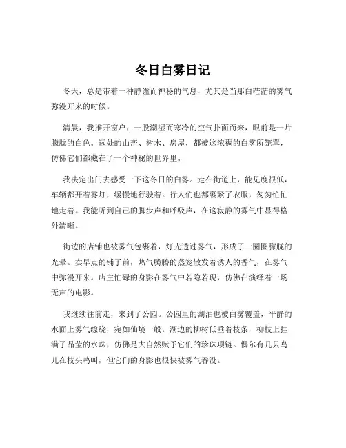 冬日白雾日记