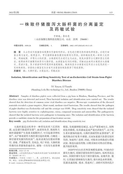 一株致仔猪腹泻大肠杆菌的分离鉴定及药敏试验