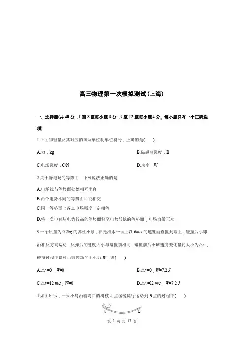 2020年上海高考物理第一次模拟测试