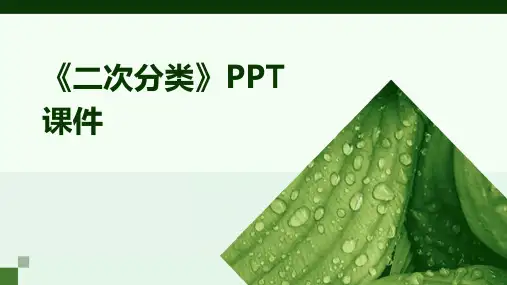 《二次分类》PPT课件