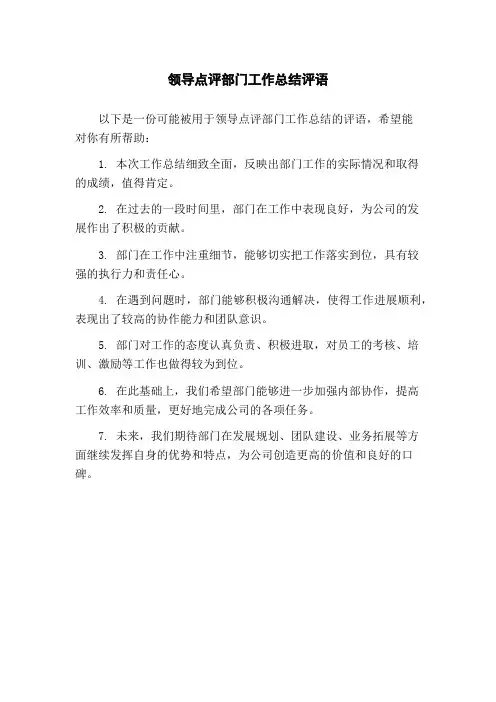领导点评部门工作总结评语