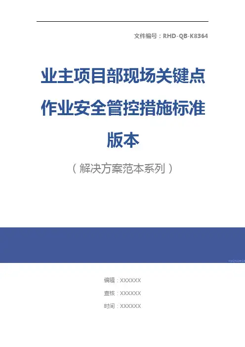 业主项目部现场关键点作业安全管控措施标准版本