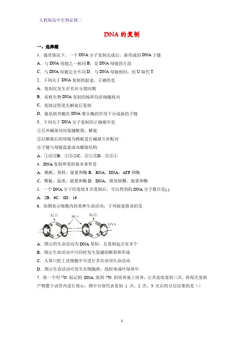 高中生物必修二课时作业26：3.3 DNA的复制