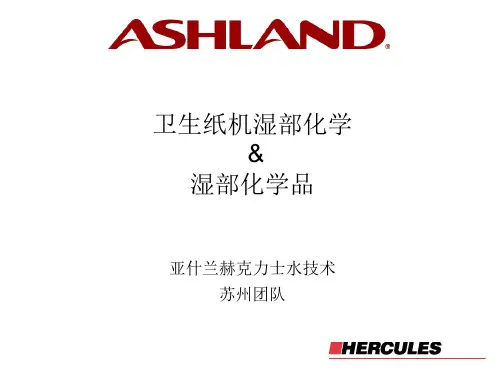 卫生纸机湿部化学&化学品