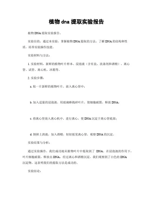 植物dna提取实验报告