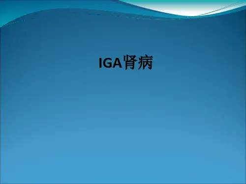 IGA肾病ppt课件