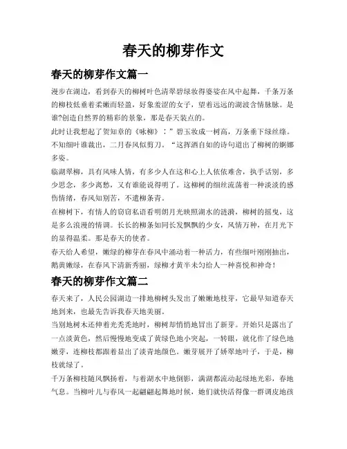春天的柳芽作文