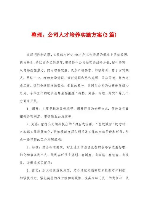 整理,公司人才培养实施方案(3篇)