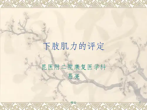 下肢肌力的评定ppt课件