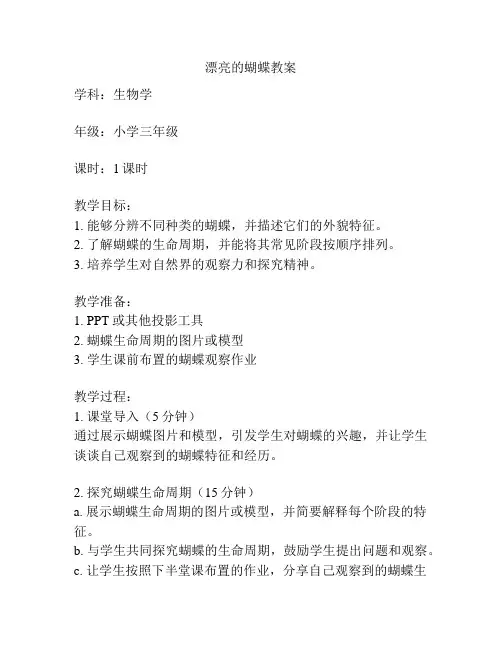 漂亮的蝴蝶教案