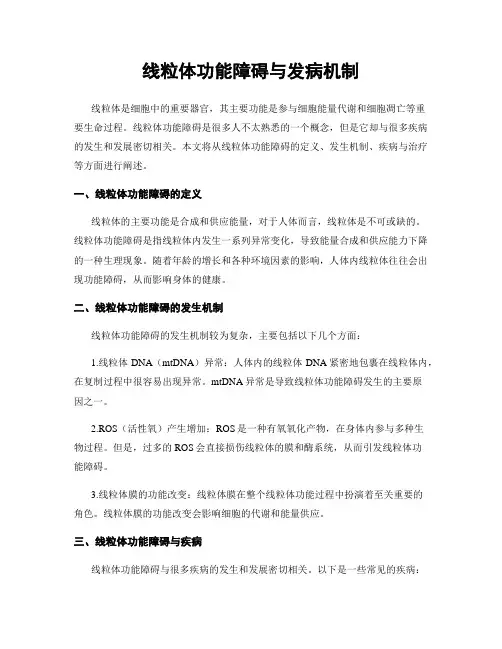 线粒体功能障碍与发病机制