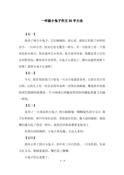 一年级小兔子作文50字大全