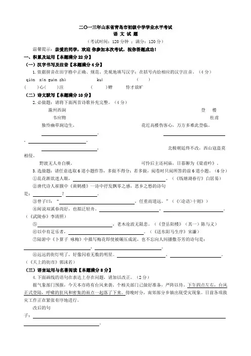 2013年中考语文试题(含答案)