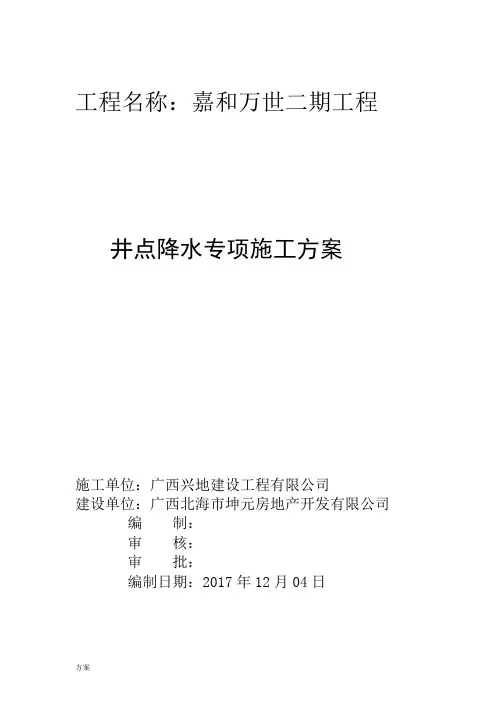 井点降水施工的解决方案.doc