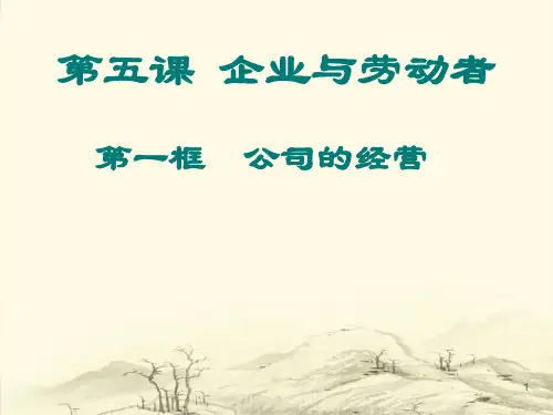 公司的类型含企业定义ppt课件