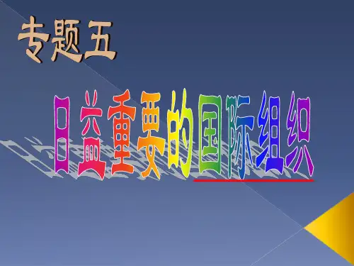 高中思想政治选修3《专题五日益重要的国际组织》