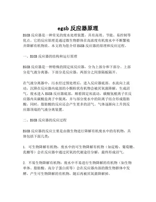 egsb反应器原理