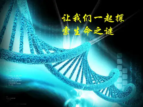 北师大版初中生物八年级上册 6.20.2 性状遗传的物质基础 课件(共19张PPT)