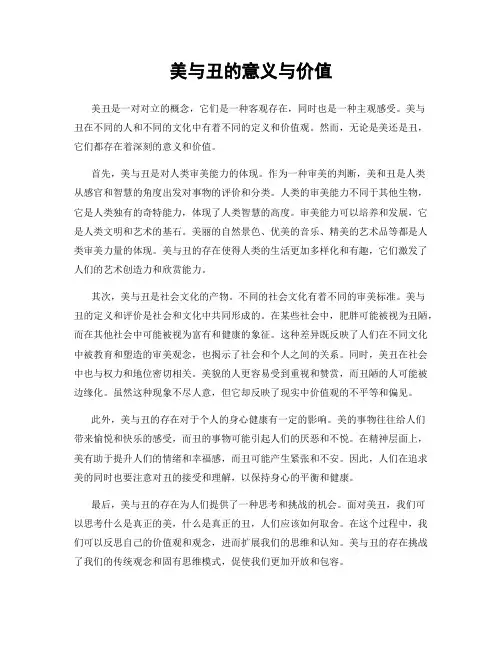 美与丑的意义与价值