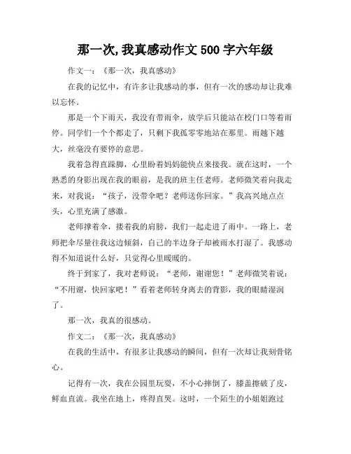 那一次,我真感动作文500字六年级