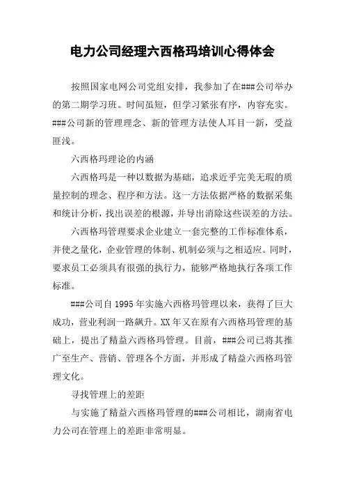 电力公司经理六西格玛培训心得体会