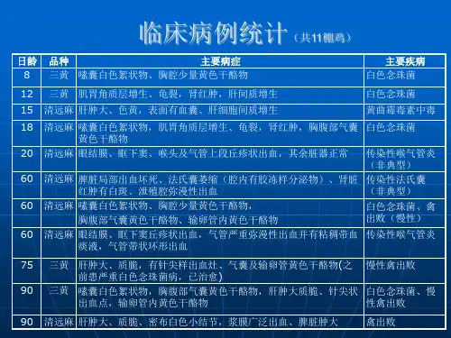 开平地区肉鸡流行疾病分析课件